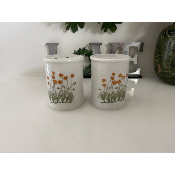Takashi Ceramic Salt and Pepper Shakers‎ Orange Flowers - Picture 10 of 16